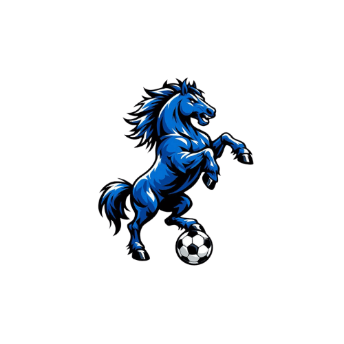 FUTSAL CASINI